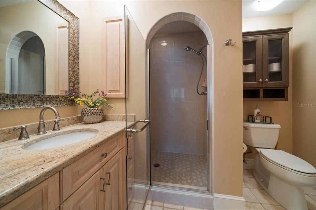 Primary bathroom vanity and shower