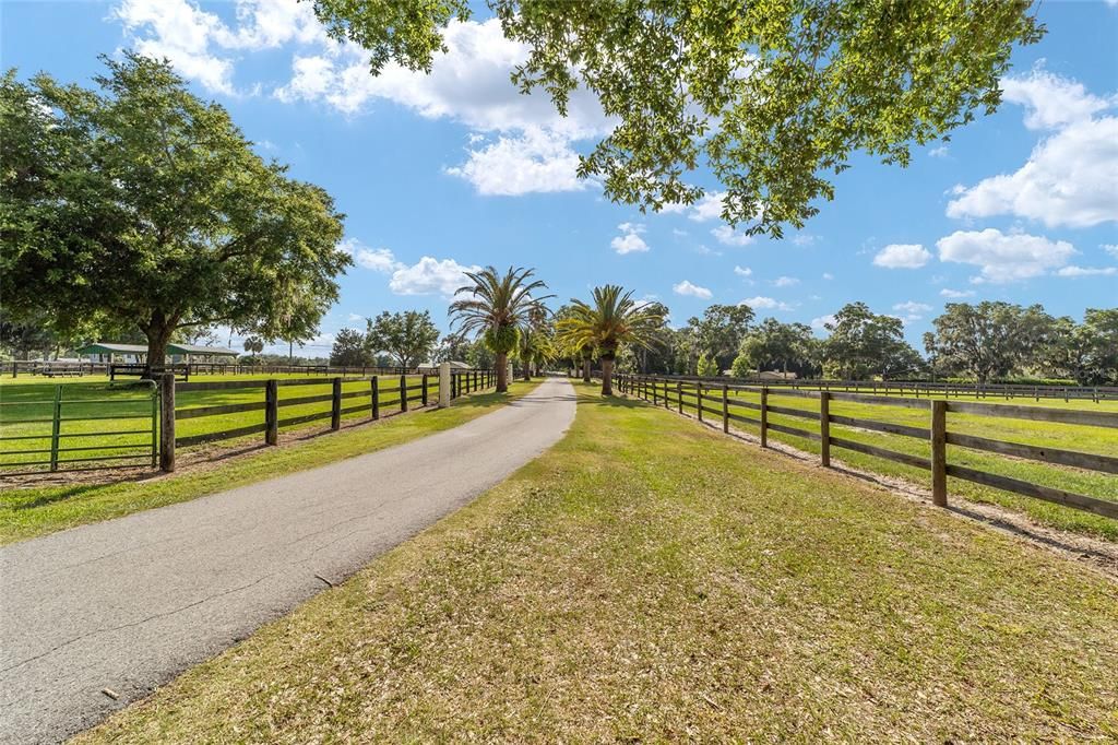 For Sale: $1,850,000 (5 beds, 5 baths, 3372 Square Feet)