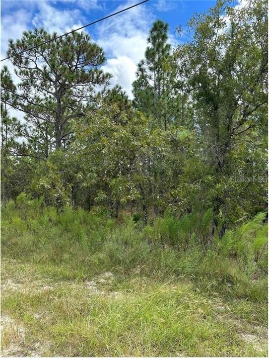 Recently Sold: $39,500 (0.46 acres)