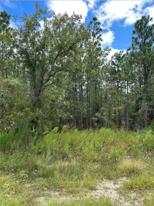 Recently Sold: $39,500 (0.46 acres)