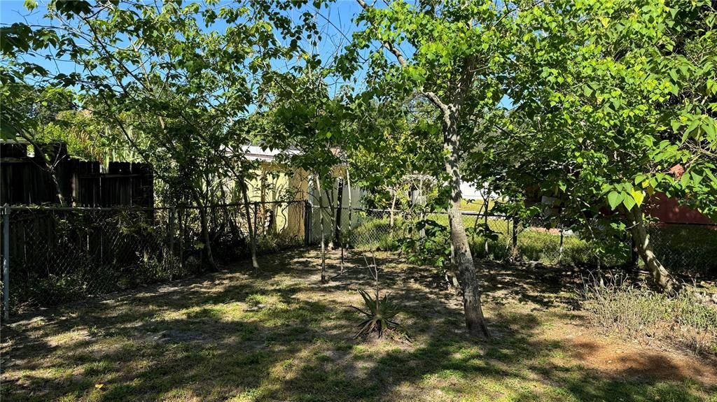 Rear yard facing West