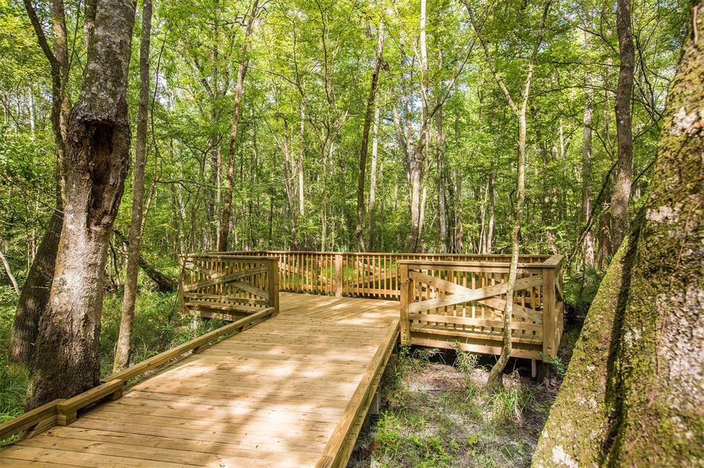 Trail Viewing Deck