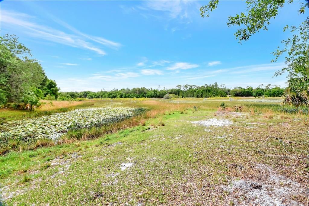 For Sale: $389,900 (11.48 acres)