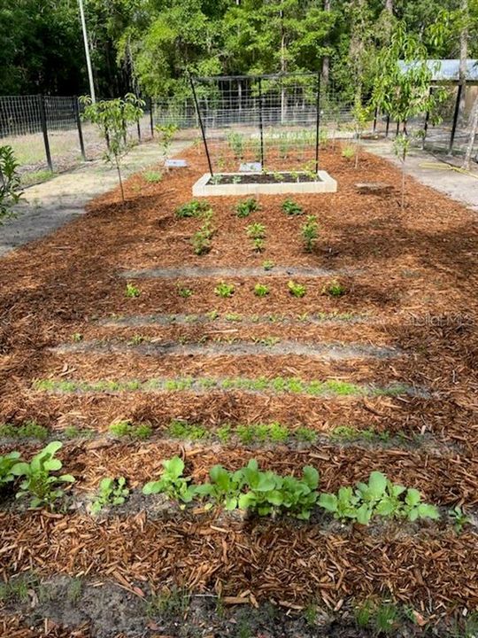 room to plant mini farm