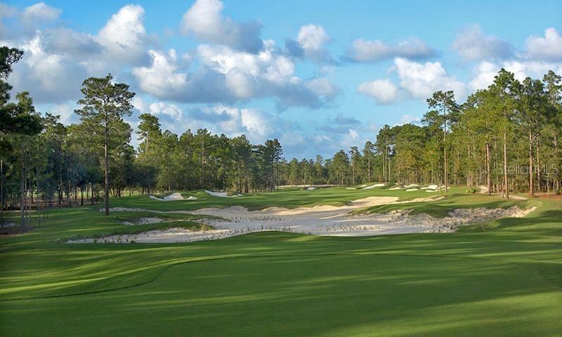 18 hole Golf course