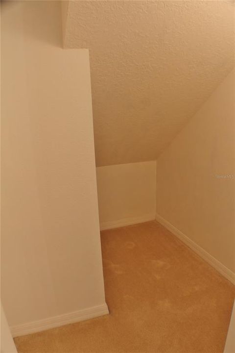 Storage closet in half bath (downstairs)