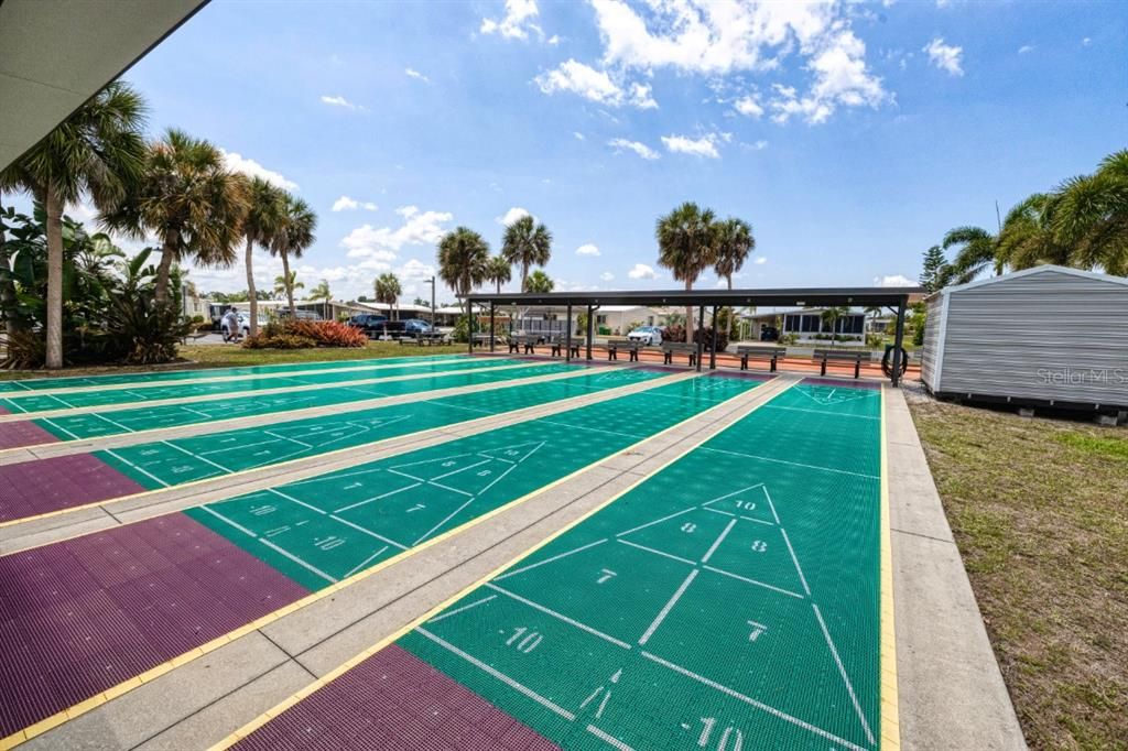 Shuffleboard