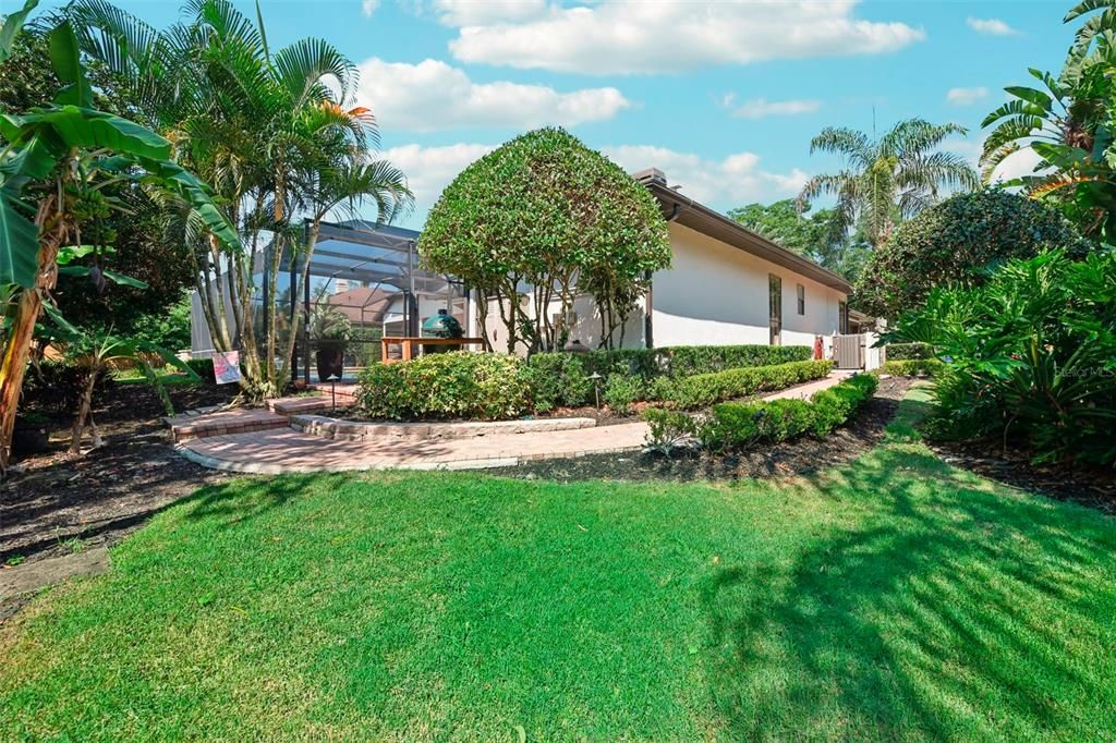 Backyard with banana trees and paver walkway leads from driveway to pool