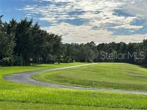 Walking trail behind home along Lake Apopka