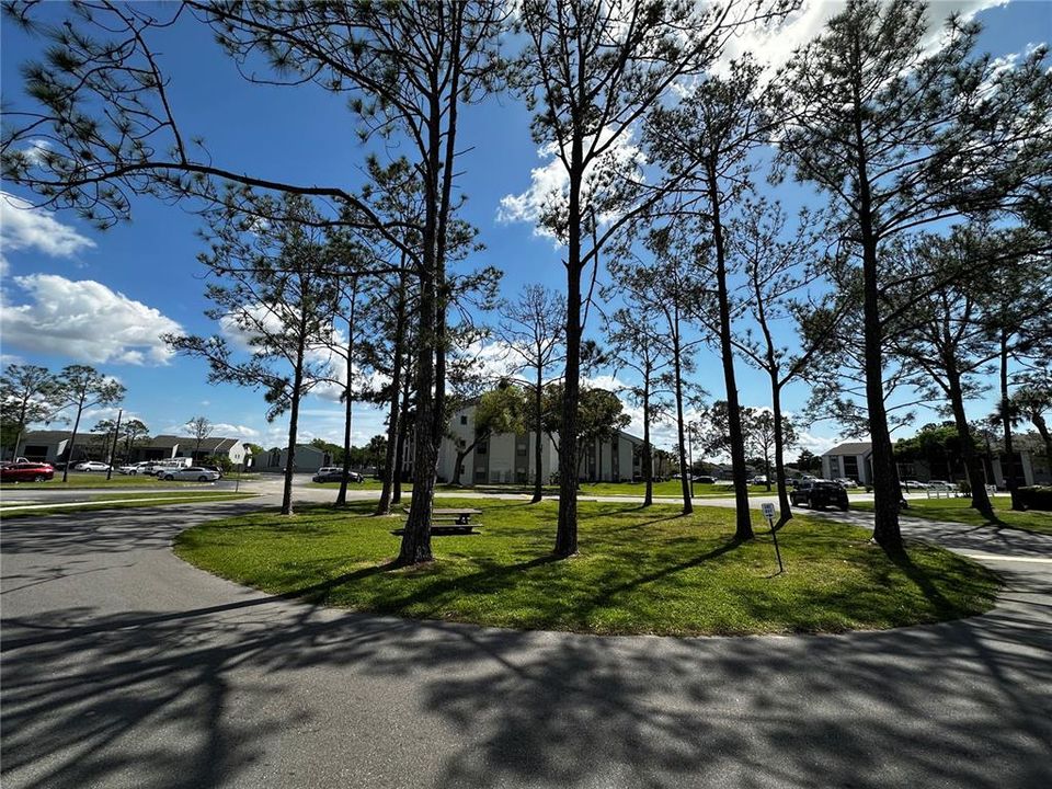 common area view