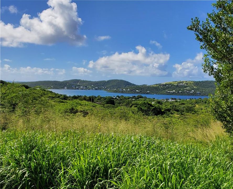 For Sale: $1,400,000 (12.00 acres)