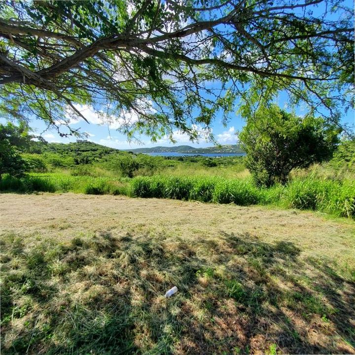 For Sale: $1,400,000 (12.00 acres)
