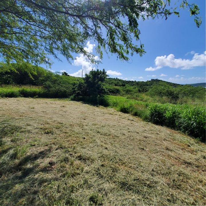 For Sale: $1,400,000 (12.00 acres)