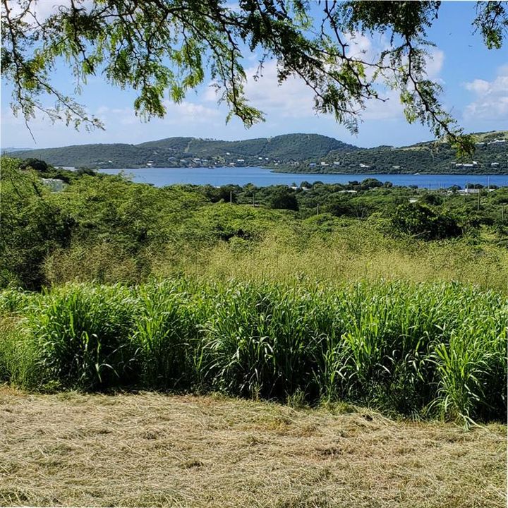 For Sale: $1,400,000 (12.00 acres)