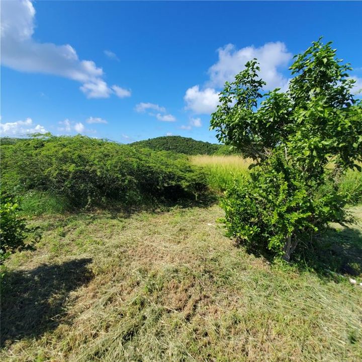 For Sale: $1,400,000 (12.00 acres)