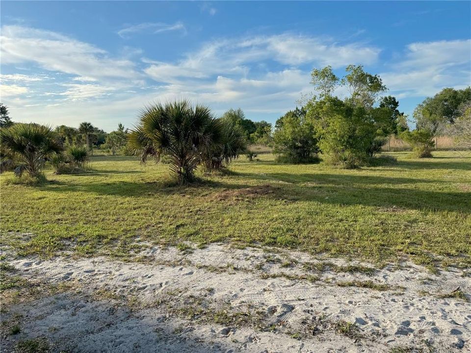 For Sale: $39,900 (1.25 acres)