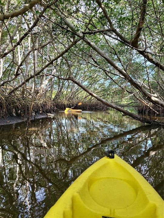 Seller photos kayaking