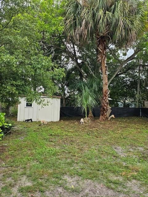 FENCED BACKYARD