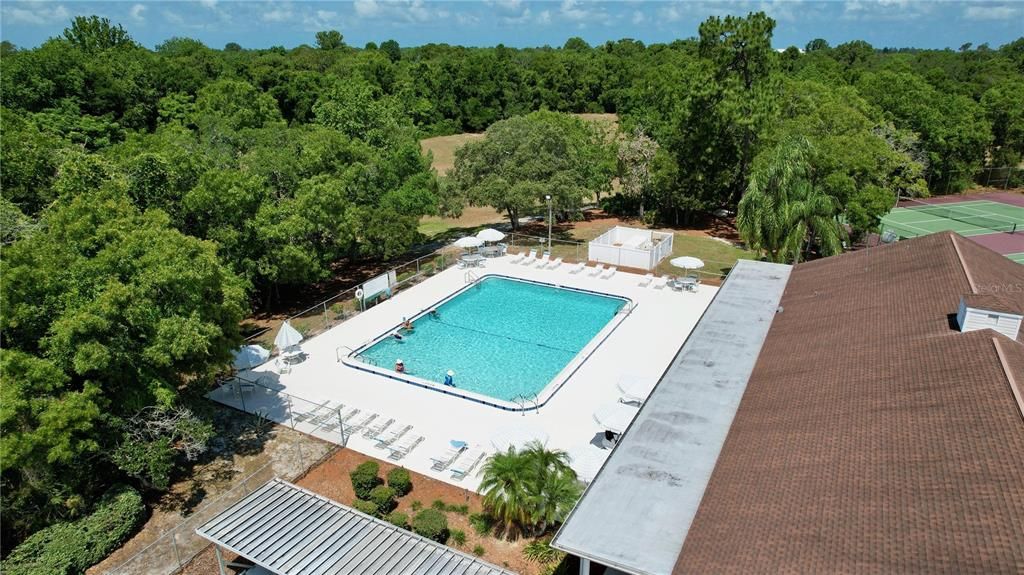 Large swimming pool