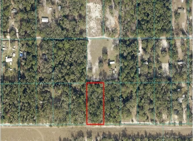 For Sale: $34,995 (1.25 acres)