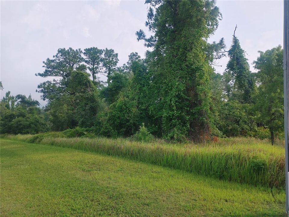 Active With Contract: $44,900 (0.46 acres)