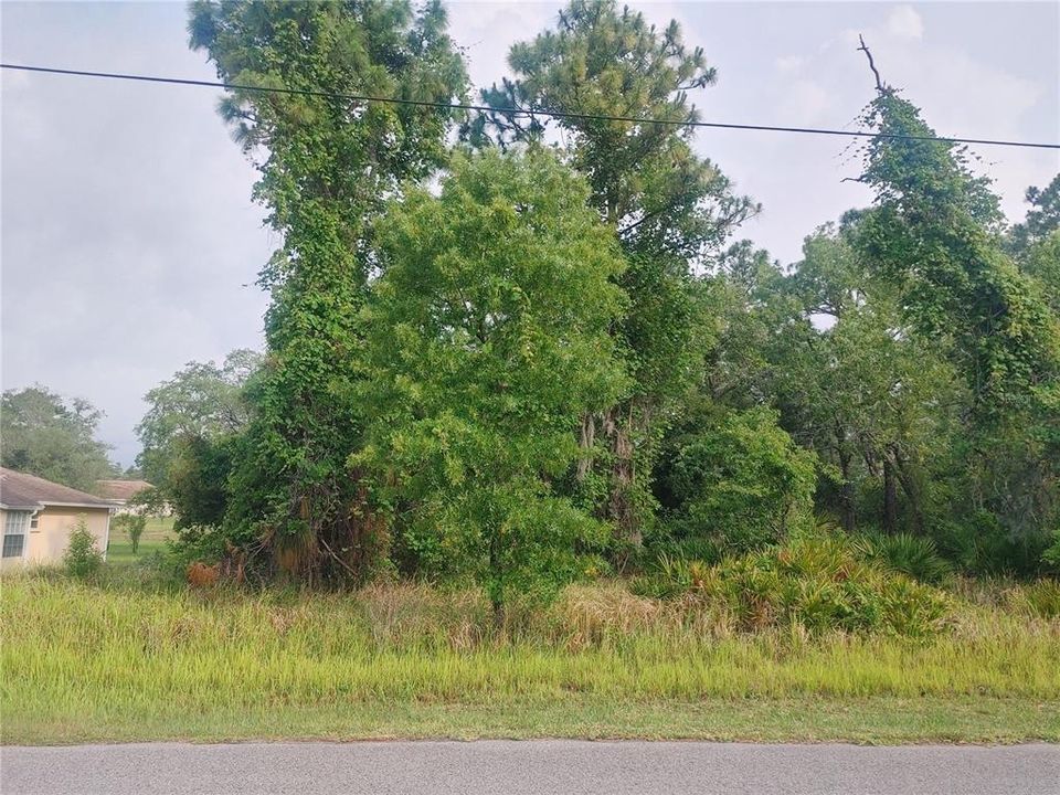 Active With Contract: $44,900 (0.46 acres)