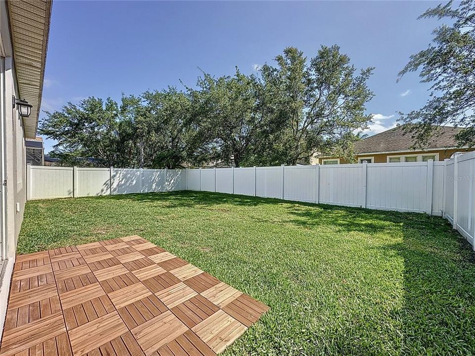 patio - back yard