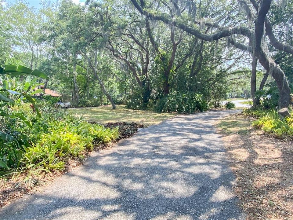 Front Exterior/Driveway