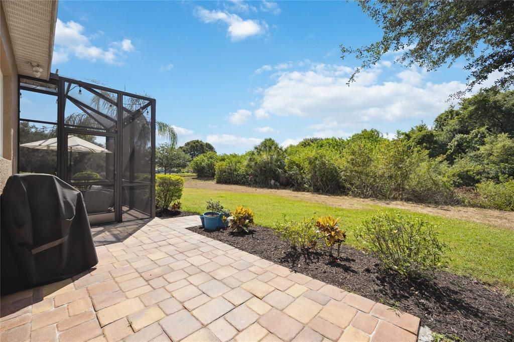 Open brick paver area for setting up grill or lounge chairs leading to spacious backyard with gorgeous preserve view, enjoying the frequent wildlife sightings.