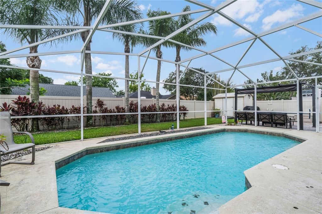 Tropical vibes in your screened in saltwater pool
