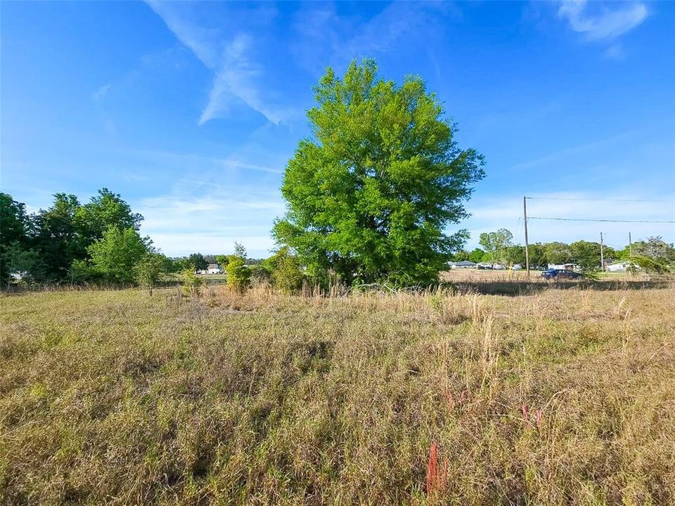 For Sale: $15,500 (0.19 acres)