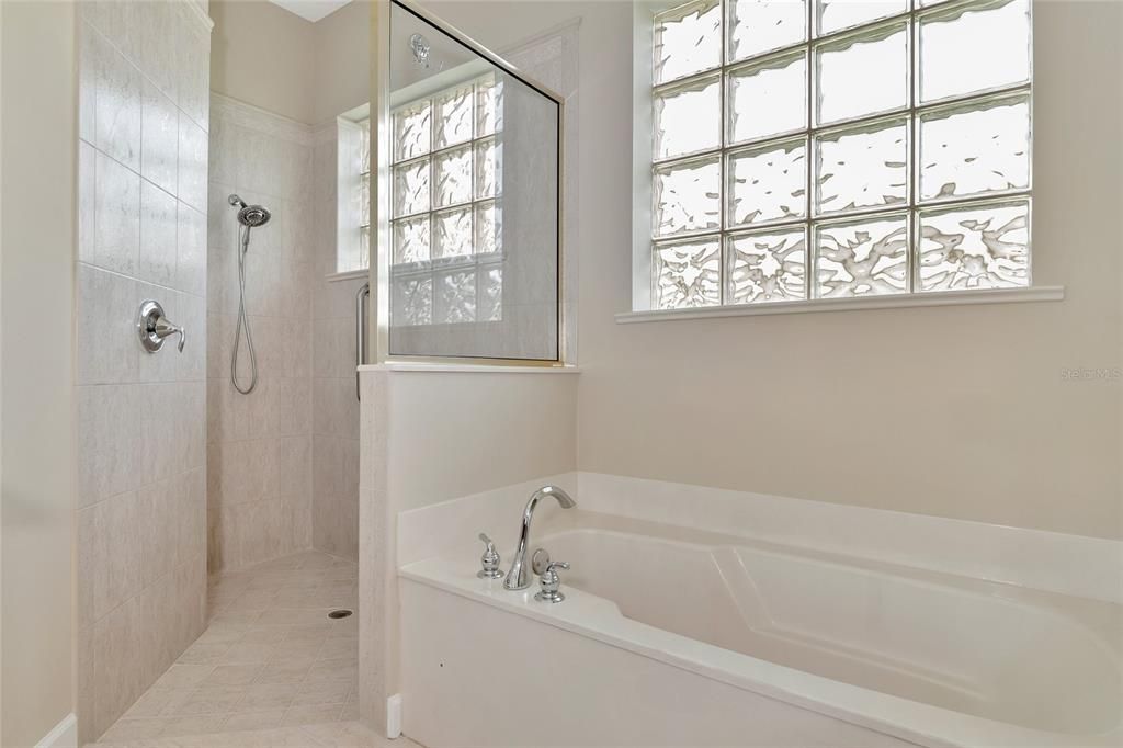 Primary bath walk-in shower & separate tub.