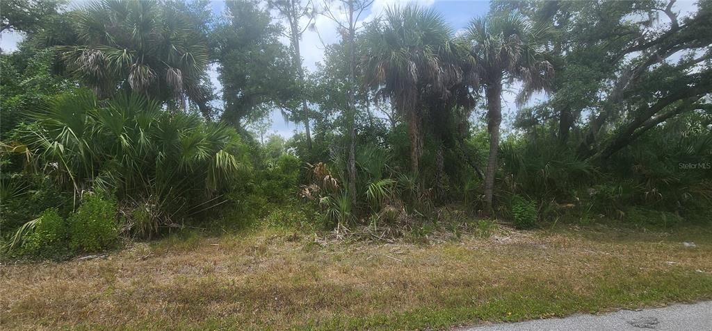 Active With Contract: $12,500 (0.23 acres)