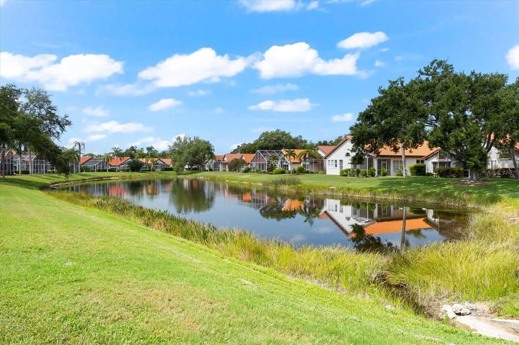 This tranquil lake is right behind the home.