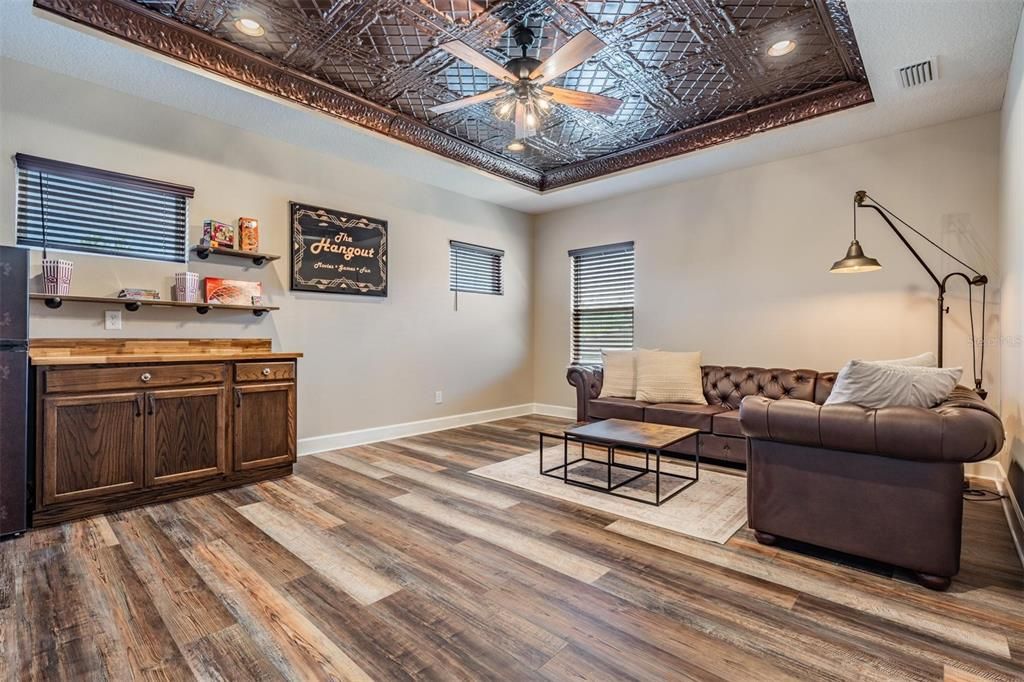 Built in cabinetry offers pull out shelving/trash bin, and shelf above, refrigerator stays, beautiful copper tray ceiling creates the "Hangout"!