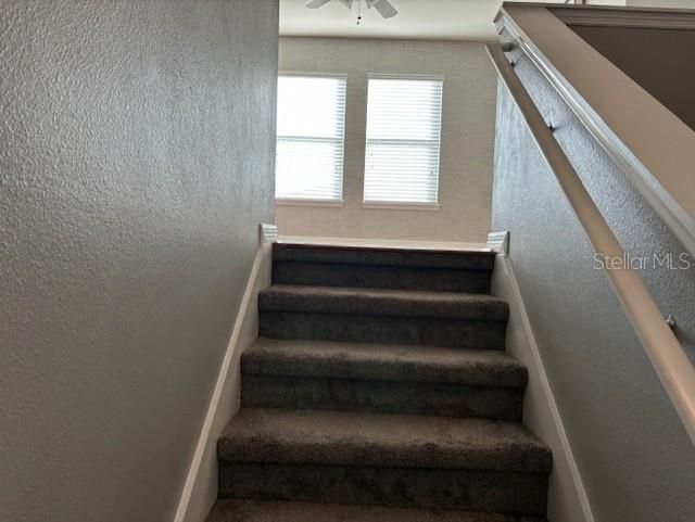 Stairs Leading to 2nd Floor