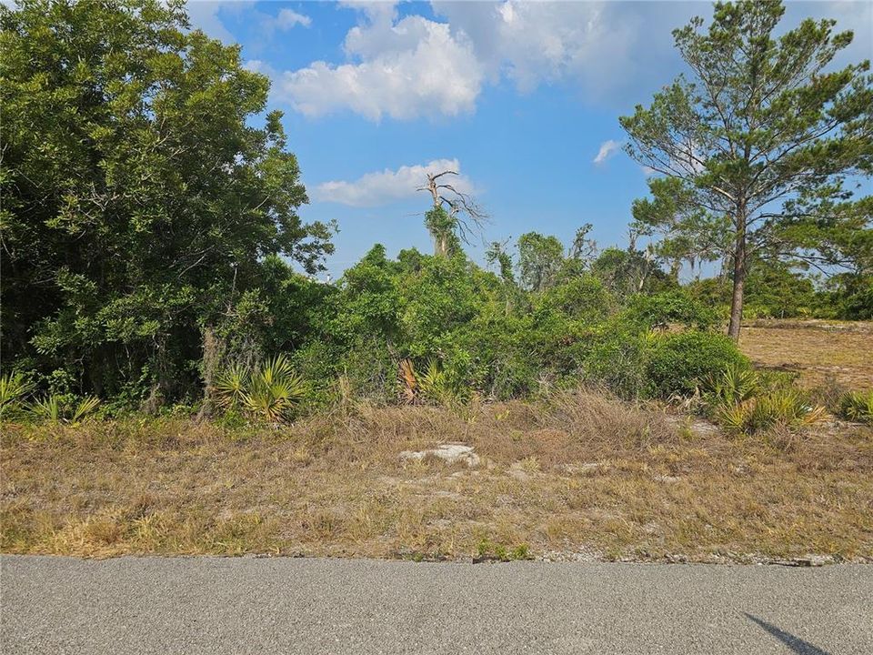 Vacant lot on a paved road.