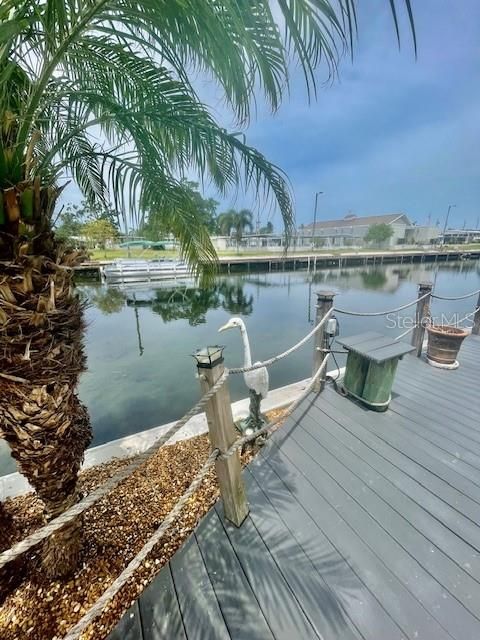 Back yard you can fish from or enjoy the views.