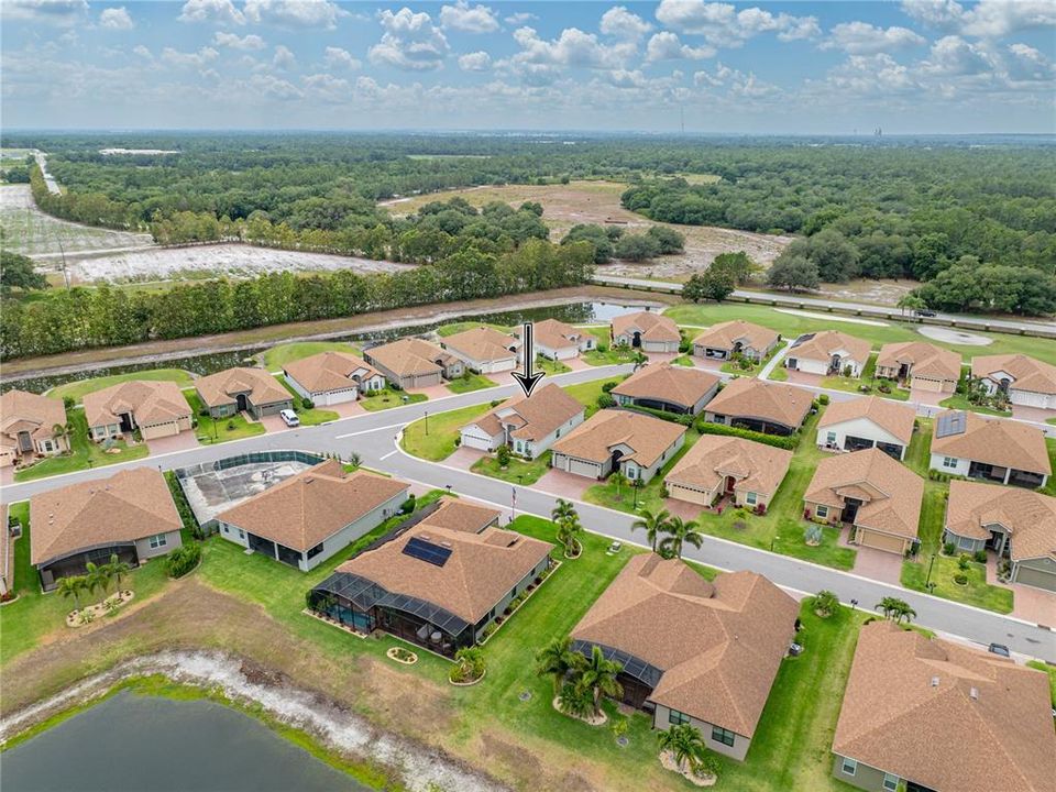 Drone view of the neighborhood