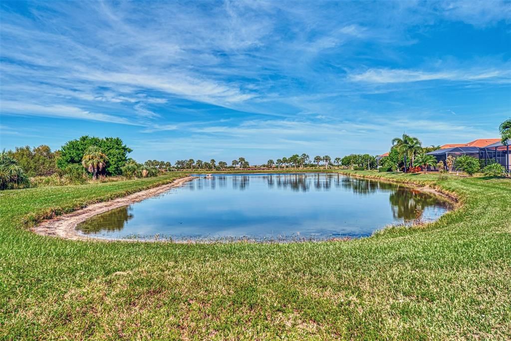 The pool faces the lake and you get great views of the lake and the preserve.