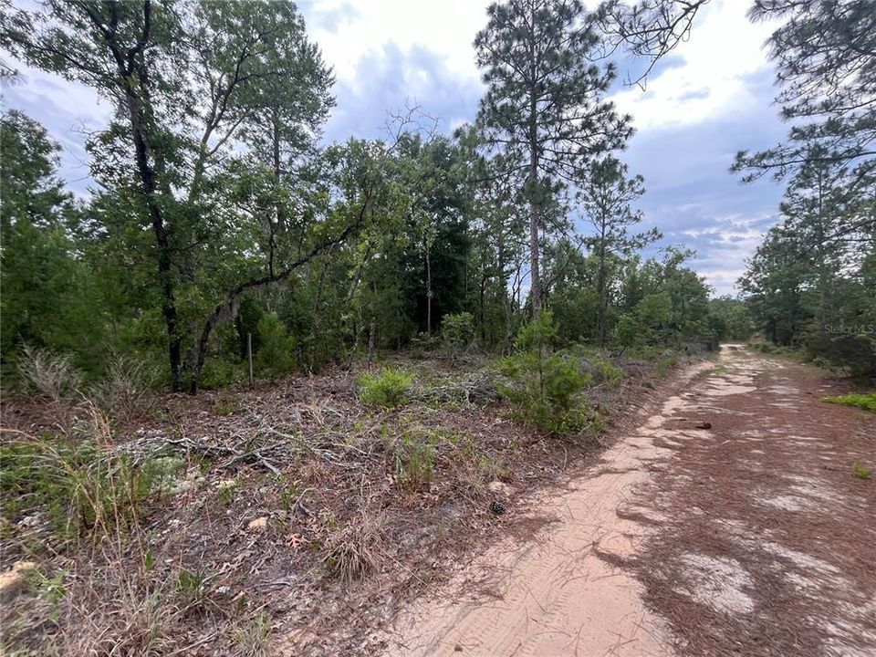 En Venta: $12,900 (0.36 acres)