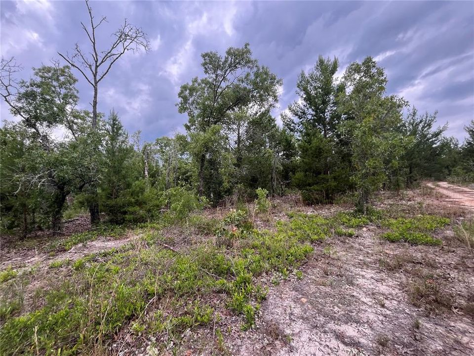 For Sale: $12,900 (0.36 acres)