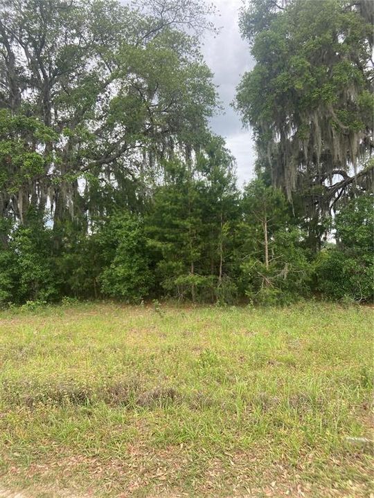 Recently Sold: $26,999 (1.25 acres)