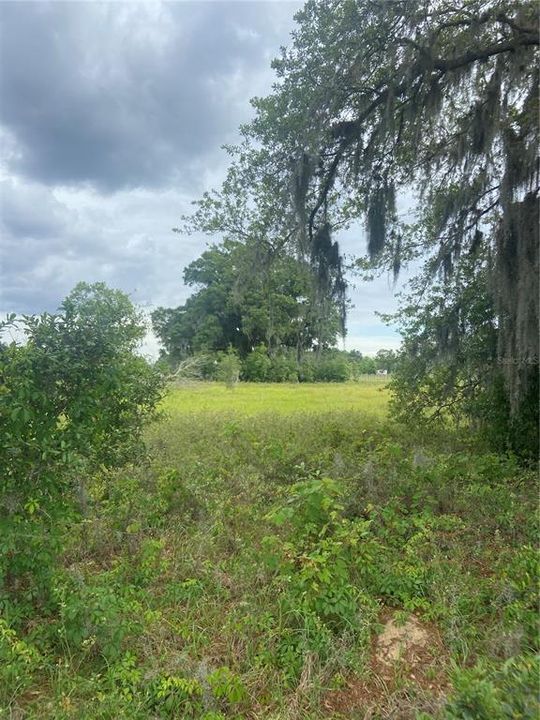 Recently Sold: $26,999 (1.25 acres)