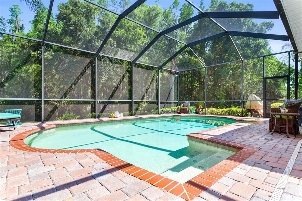 Pool with screened enclosure and conservation