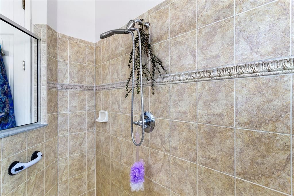 Master bathroom shower