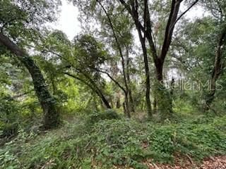 En Venta: $110,000 (1.03 acres)