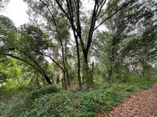 En Venta: $110,000 (1.03 acres)