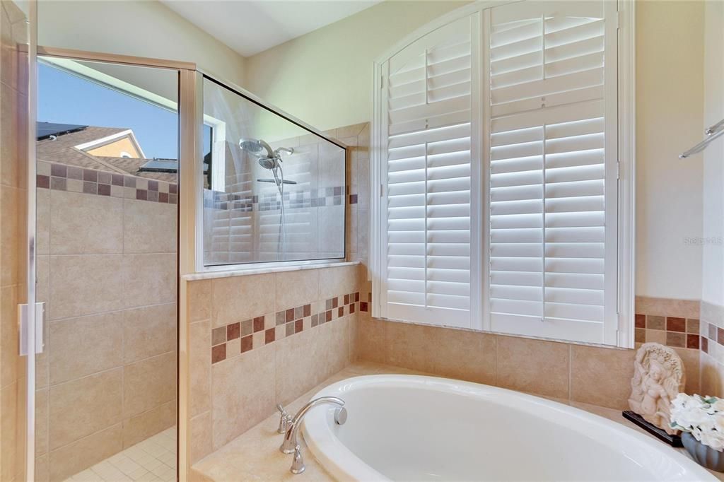 Walk-in shower and beautiful tub