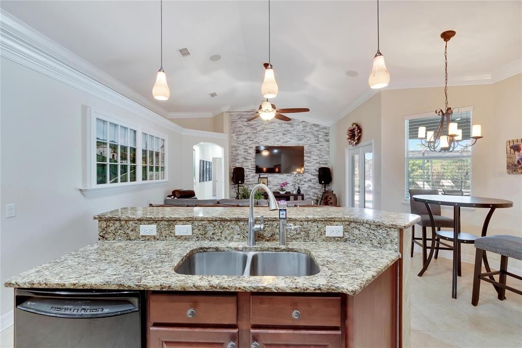 Kitchen Island with Tyent Water Ionizer; Beautiful open floor plan with accent wall in family room